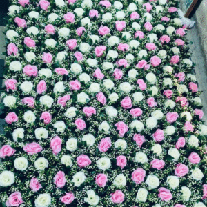 Gulab (Rose) Flower Sheet