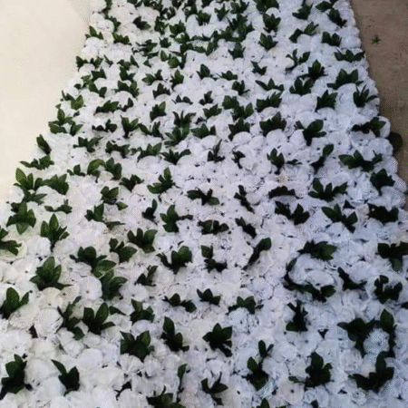 Carnation Flower Sheet