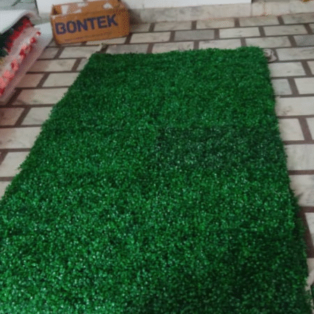 Backdrop green chana mate sheet