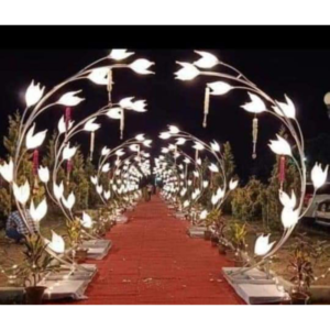 Entry for set