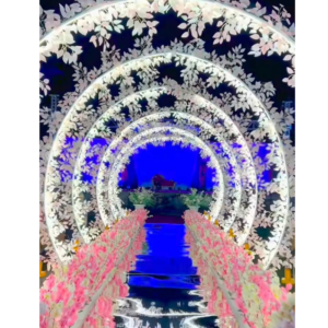 Entry for set 1